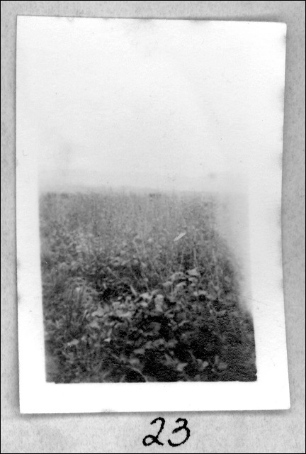 film1-23.jpg