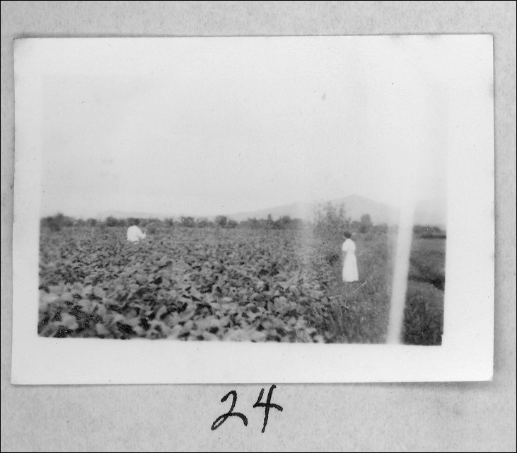 film1-24.jpg