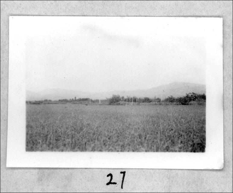 film1-27.jpg
