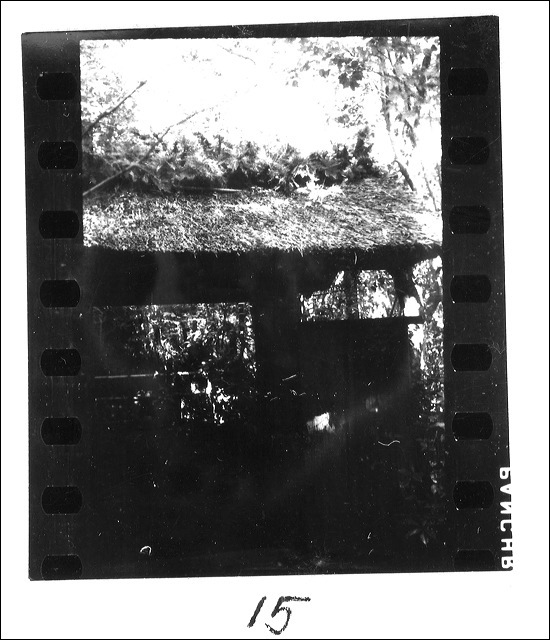 film2-15.jpg