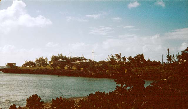 kawela-3.jpg