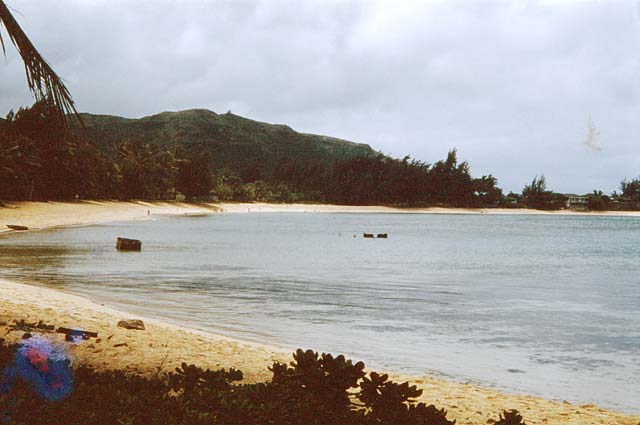 kawela-7.jpg