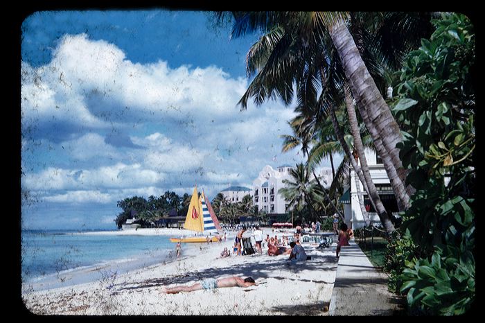 moana2-1954.jpg