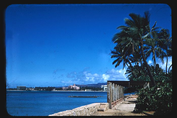 waikiki1956.jpg