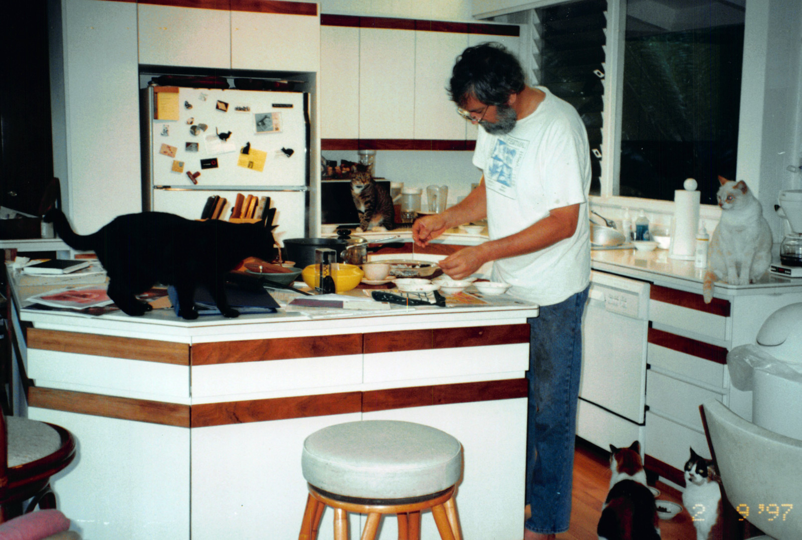 Cats in 1997