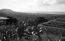 vieques-2-064