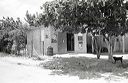 vieques-5-022