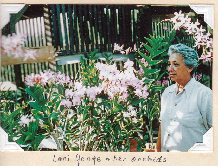 image4-4.jpg