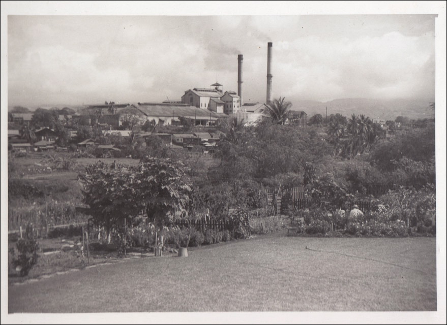 image5.jpg