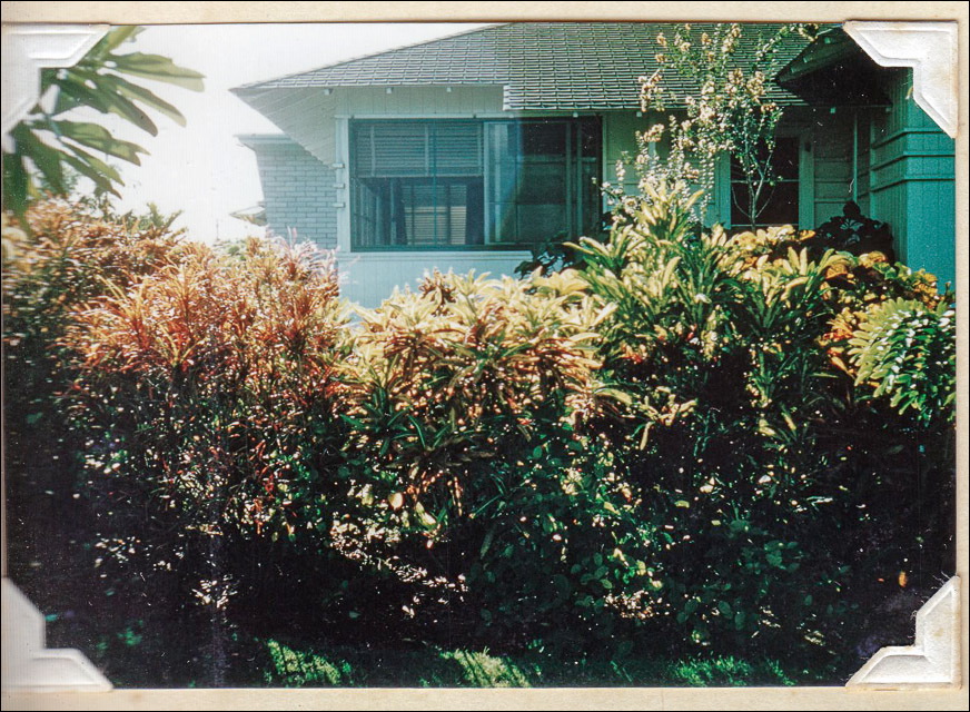 image6-3.jpg
