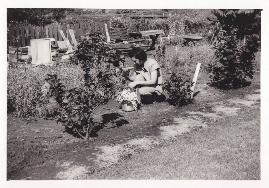 image6.jpg