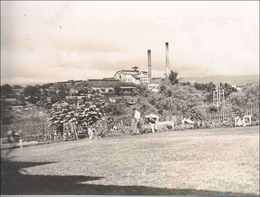 yonge__hawaii_3_1946_007.jpg