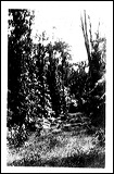 photo22