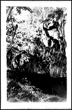 photo24