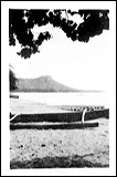 photo6-11