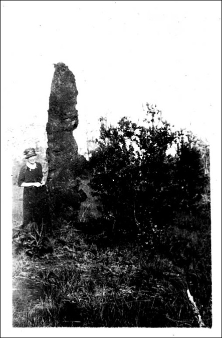 photo26.jpg