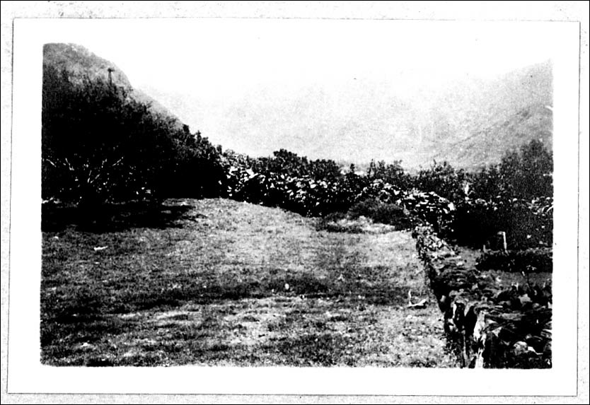 photo29.jpg