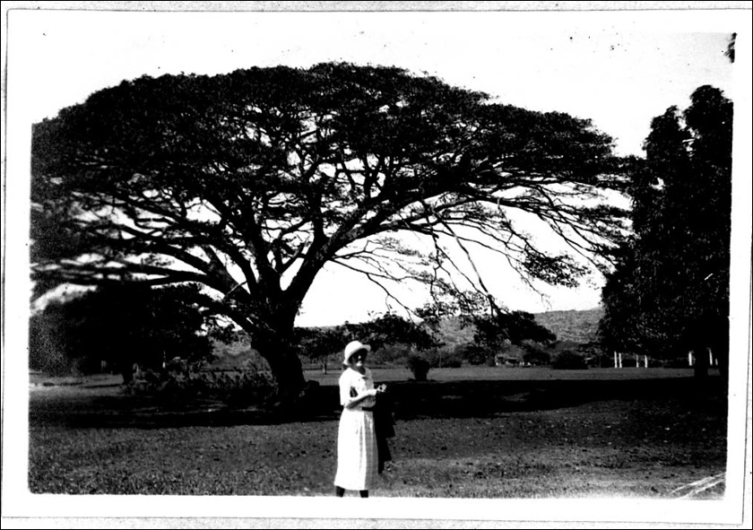 photo30.jpg