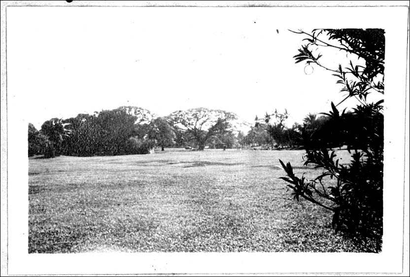 photo31.jpg
