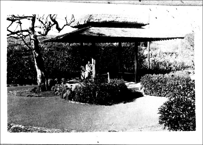 photo33.jpg