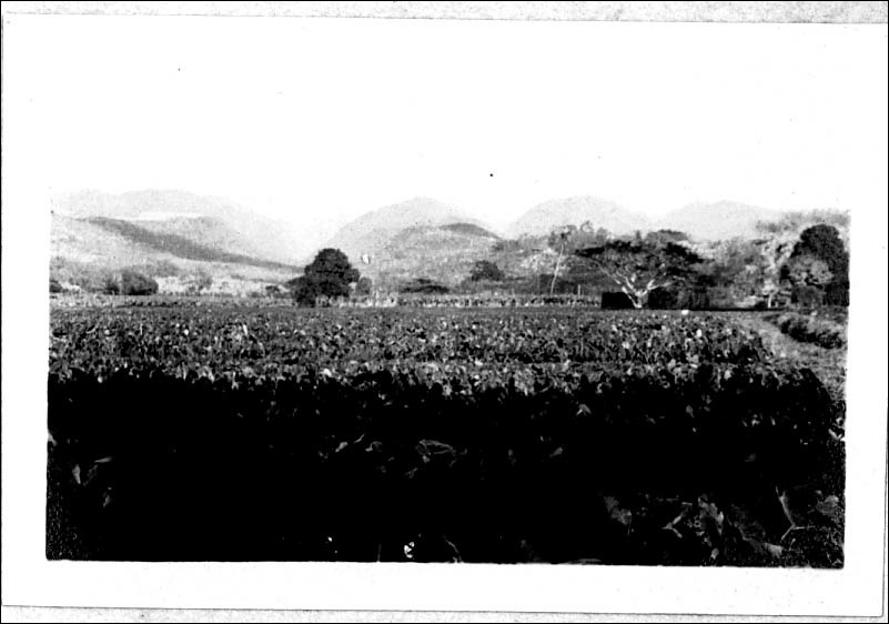 photo38.jpg