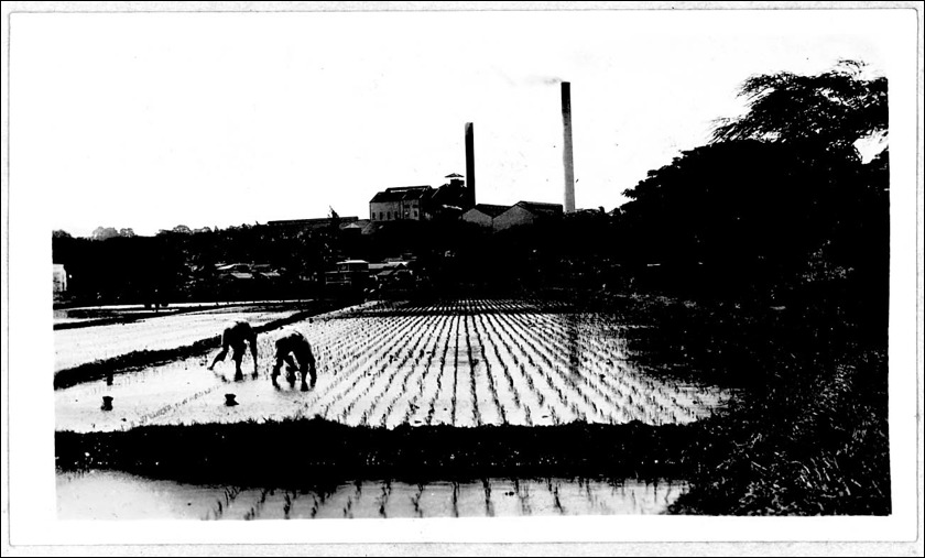 photo39.jpg