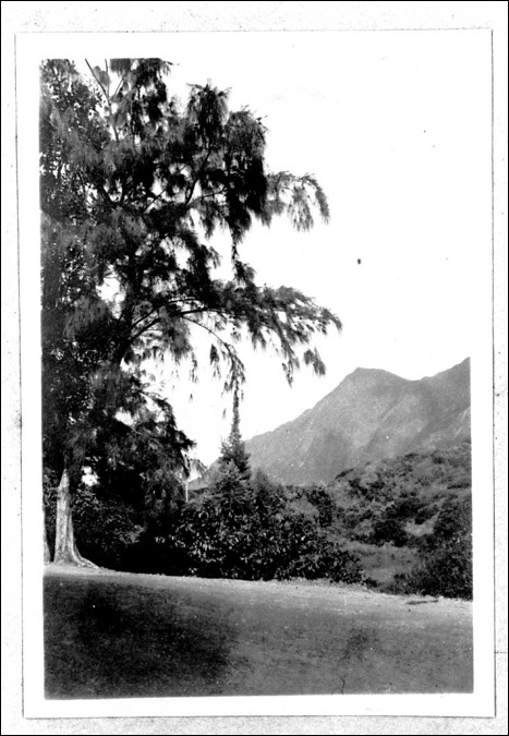 photo40.jpg