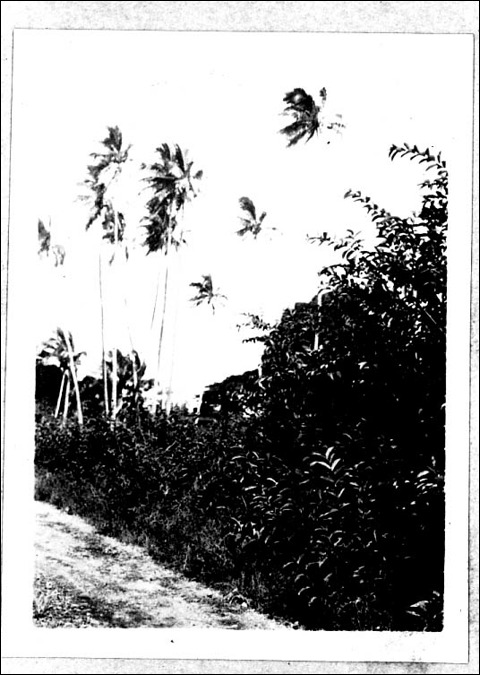 photo7.jpg