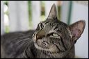 img_3465