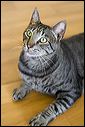 img_6174