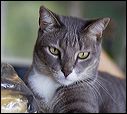img_6196