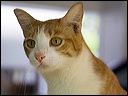 img_6256