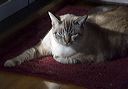 img_6498