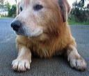 img_4961