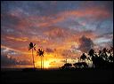 img_4468