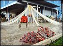 img_4487