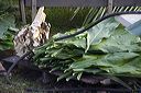 img_8670