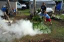img_8727