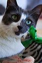 img_8587