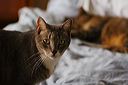 img_9368