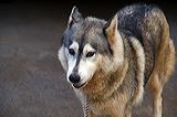 img_3056