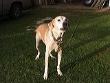 img_3066