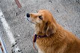 img_3159