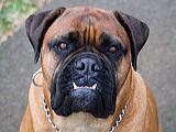 img_3165