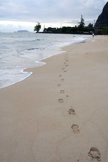 img_5915.jpg
