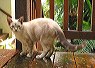 img_1487