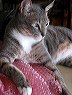 img_1522