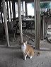 img_0943a