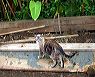 img_0948