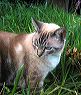 img_0155